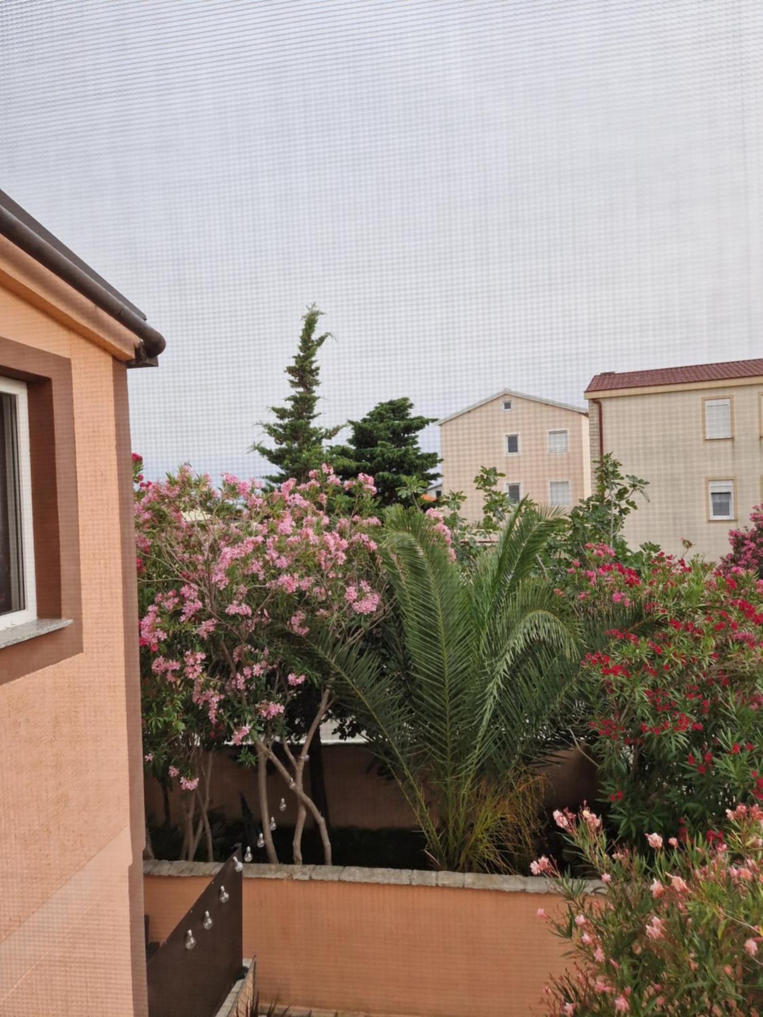 Aurelia Apartments, Vir Luaran gambar